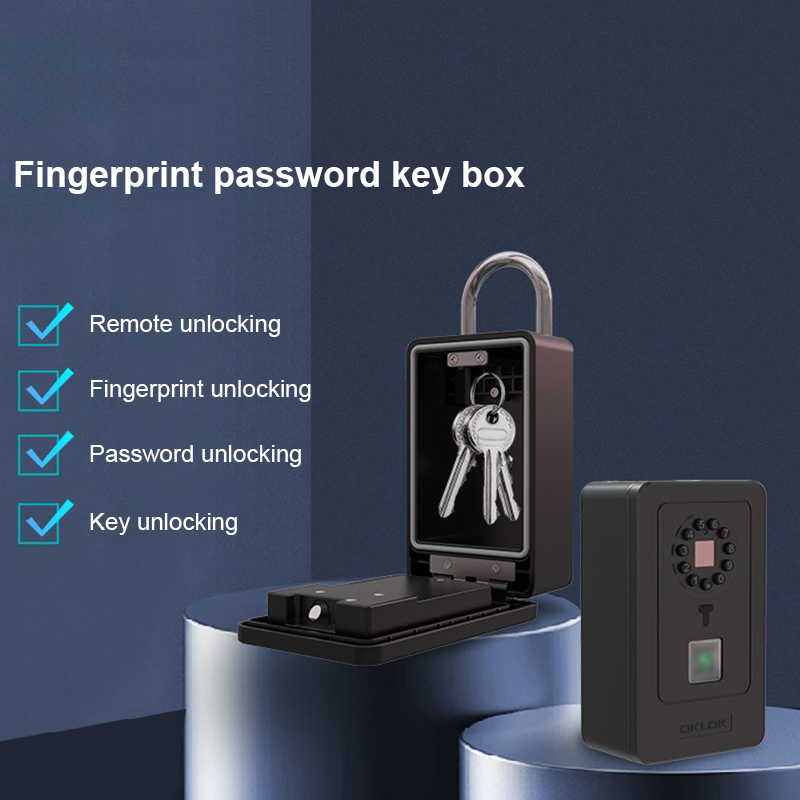 Kotak Penyimpanan Kata Sandi D - Home Security Key Box ulasan dan harga
