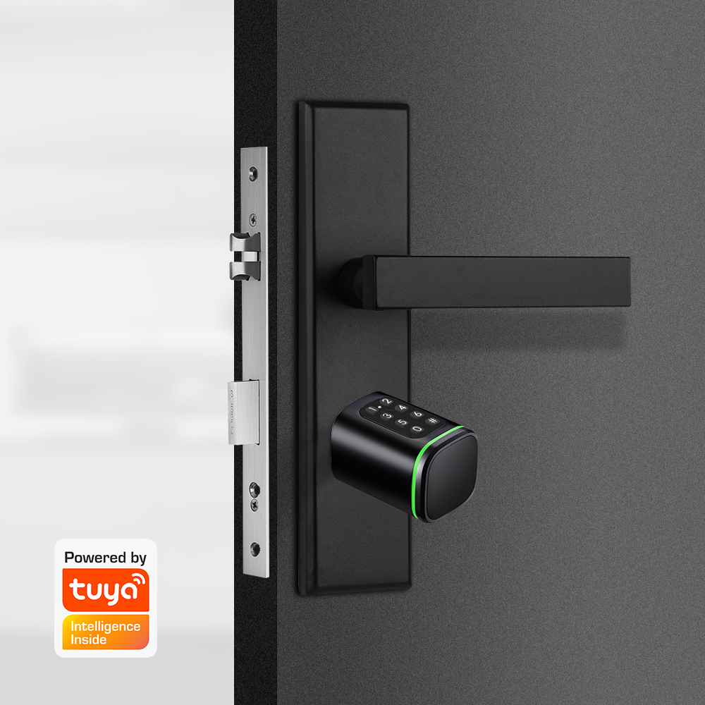 Kunci Silinder Pintar Tuya 60- - Home Security Essential ulasan dan harga
